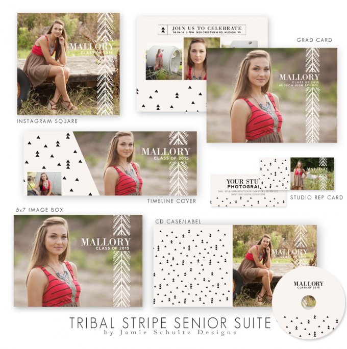 Tribal Stripe High School Senior Templates by Jamie Schultz Designs