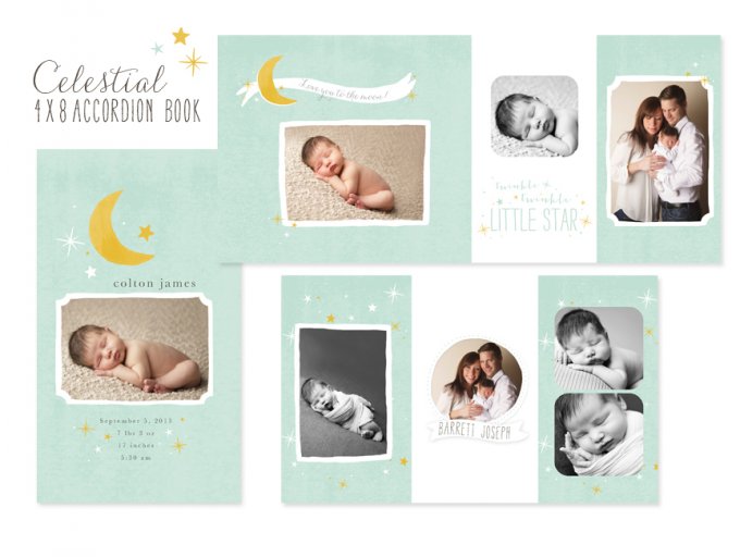 Celestial 4x8 Accordion Book Template by Jamie Schultz Designs