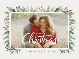 Winterberry Holiday Cards